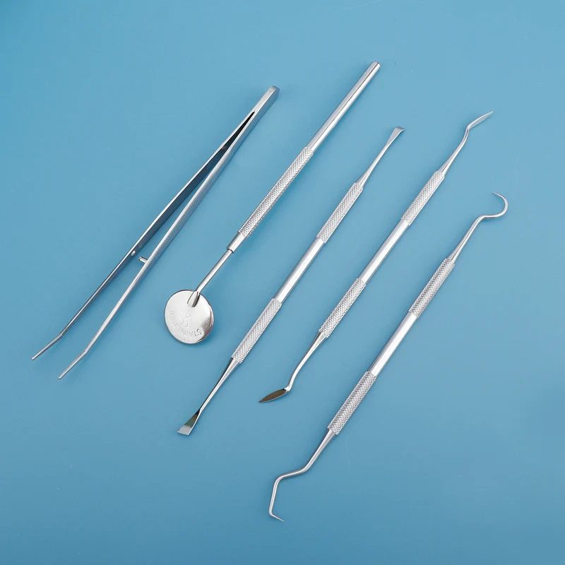 5×6Pcs/Bag Dental Tool Interde - Dental Floss Picks ulasan dan harga