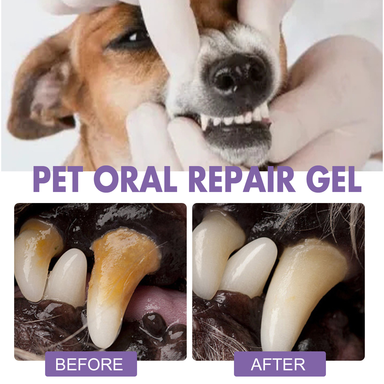 Pet Oral Repair Gel Puppy Tart - Teeth Whitening From Home ulasan dan harga