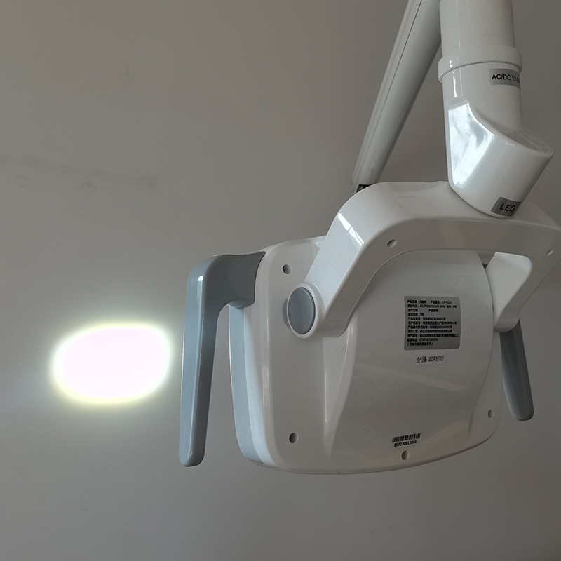 6LED Dental LED Lamp Oral Ligh - Teeth Whitening Lamp ulasan dan harga
